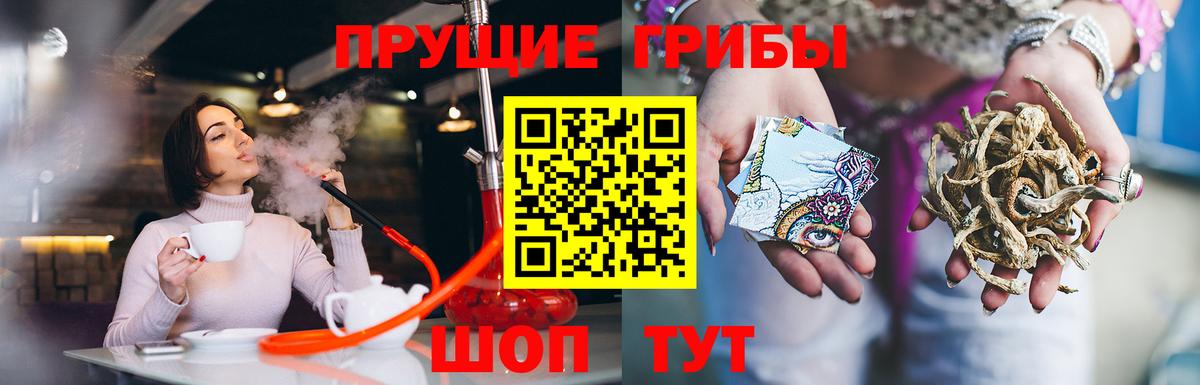 Галлюциногенные грибы Psilocybine cubensis  Вход с VPN  Казань 